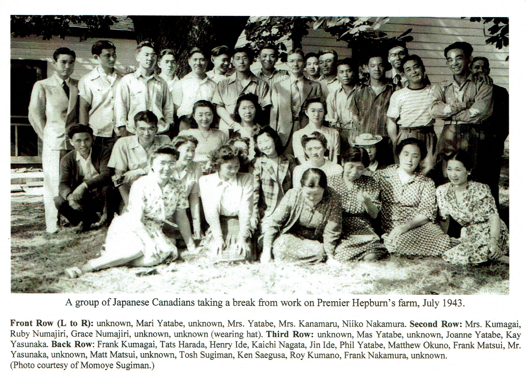 A group of 33 people pose for a photograph on a sunny day under a tree. About half the people (mostly women) are seated or crouched, the rest (all men) stand behind them.