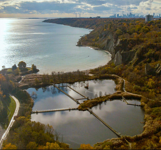 An aerial view of a lake surrounded by land covered with trees and buildings. It is sunny and the sky is blue with white clouds. There are many bridges and roads in the image.