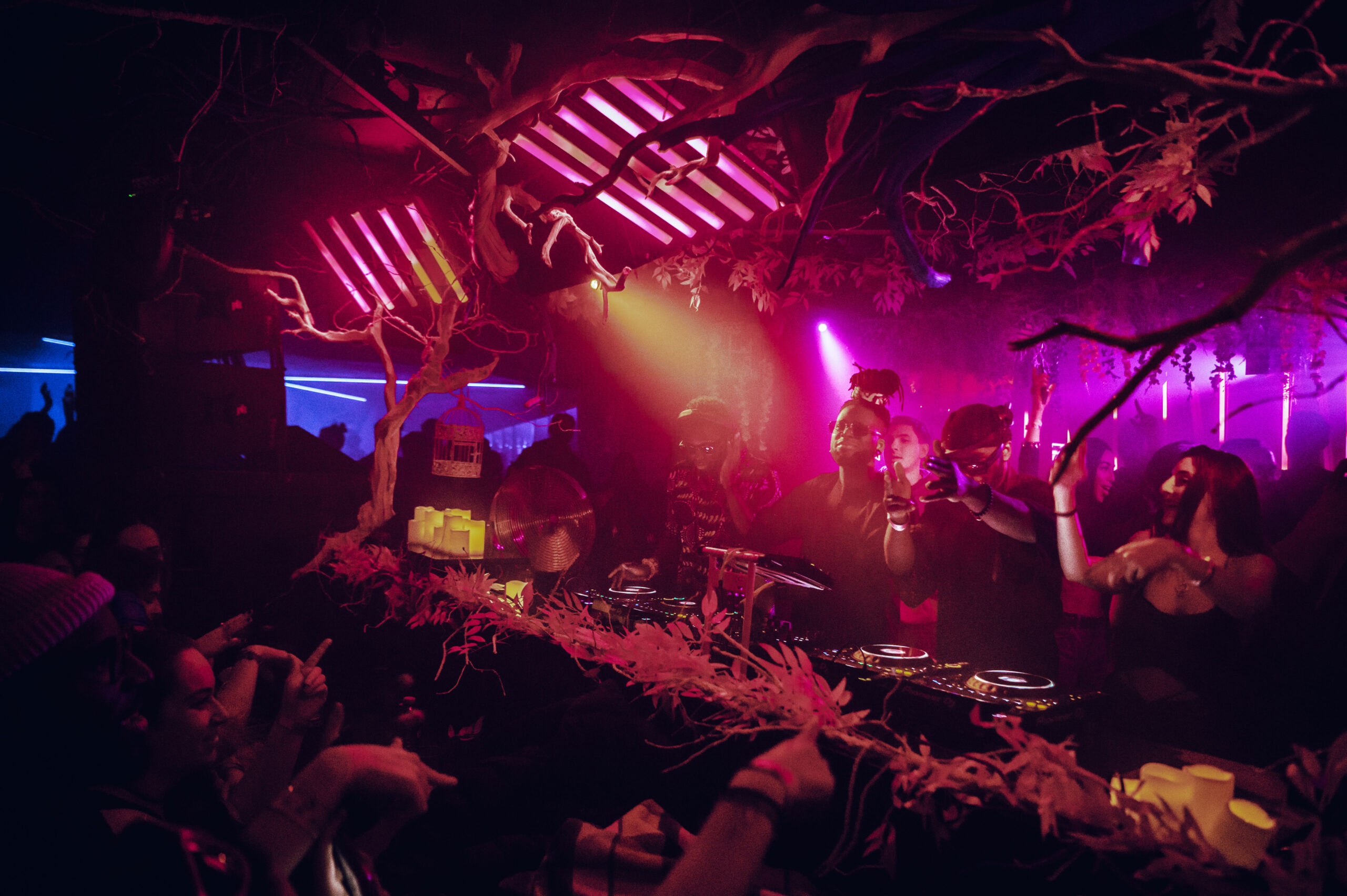 A dimly it image with pink and purple highlights. The image pictures a large gathering of people, dancing