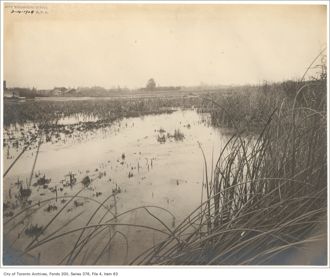 Sepia-toned image of a flat and marshy area. Long strands of grass in the foreground and left of the image border shallow, muddy water that reflects the light from the sky. A few stunted plants poke out of the watery. One tree stands out on the horizon, with others less distinguishable further behind. Two structures, one of which looks like a house, are visible on the horizon to the left.
