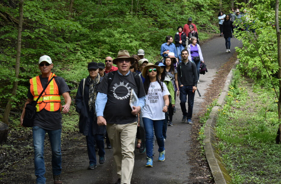 Colour photograph of a group of people going down a ravine pathway. They are surrounded by bright green trees and plants on either side. The tour leader is wearing a cap and a grey t-shirt with 