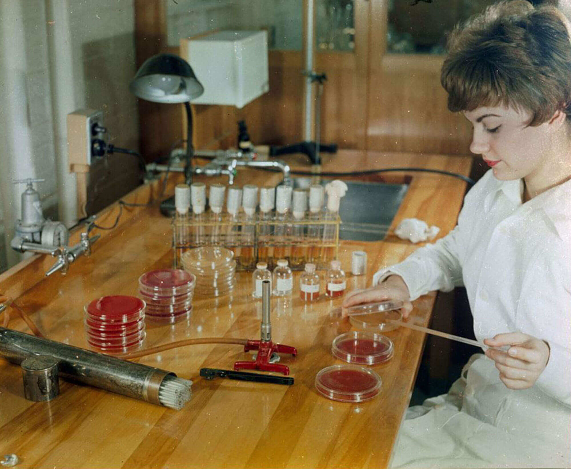 Woman seated at a workstation applies an unknown substance to petri dishes, of which several are visible, along with a tray of beakers.