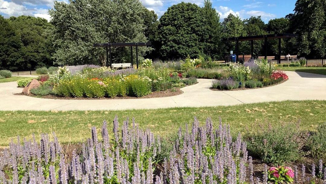 Blooming garden plots in a park on a sunny day with paved paths connecting them. In the foreground, lavender flowers bloom. In the background, a blue sky and trees can be seen.