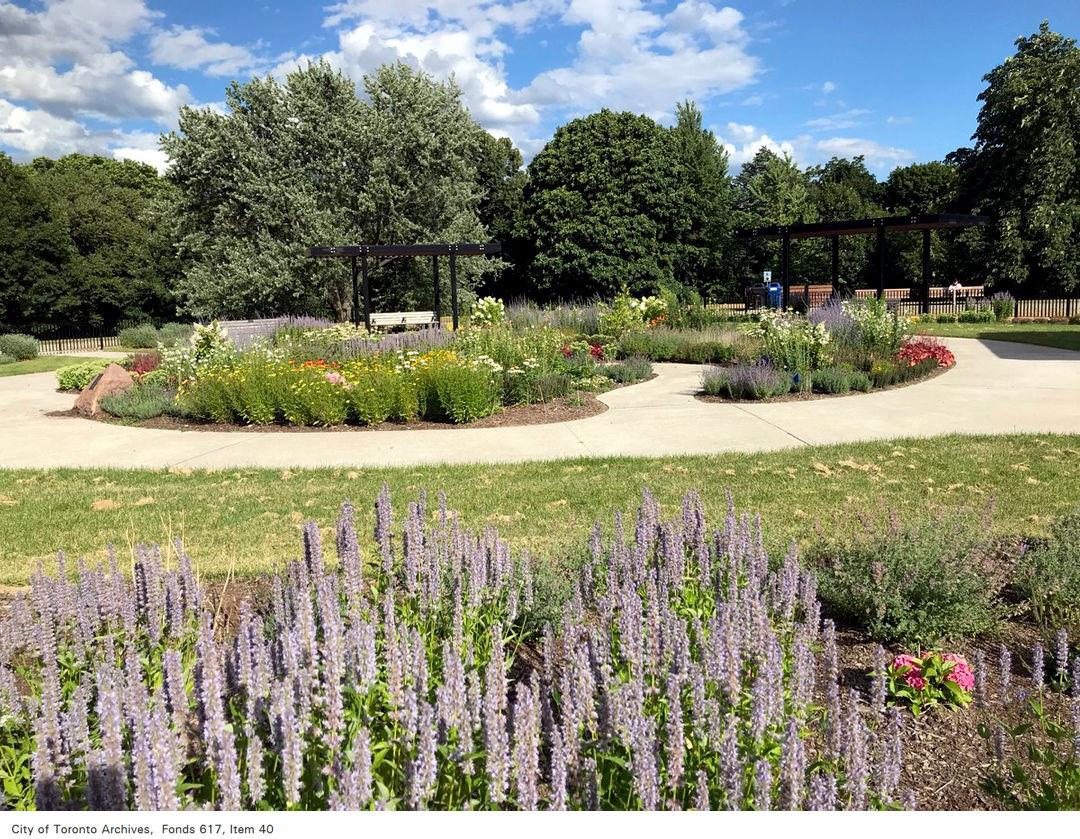 Blooming garden plots in a park on a sunny day with paved paths connecting them. In the foreground, lavender flowers bloom. In the background, a blue sky and trees can be seen.
