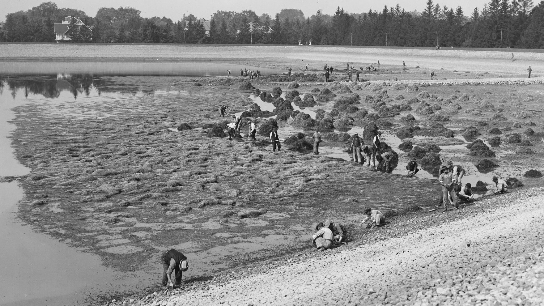 image of workers clearing mud and weeds from the bottom of a drained reservoir